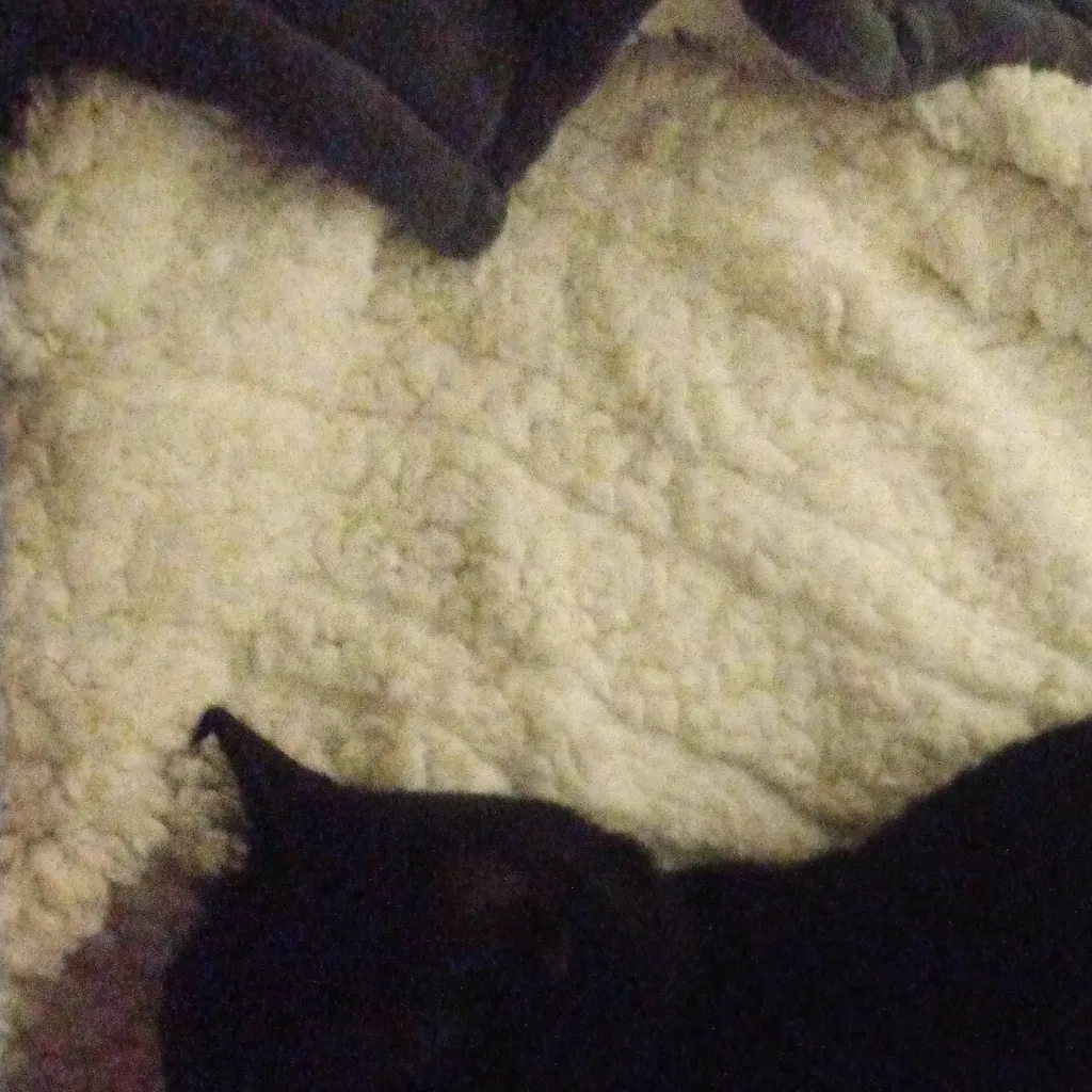 chat with ai character: forsaken 