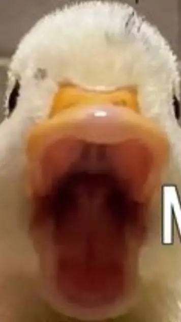 ai character: forsaken  background