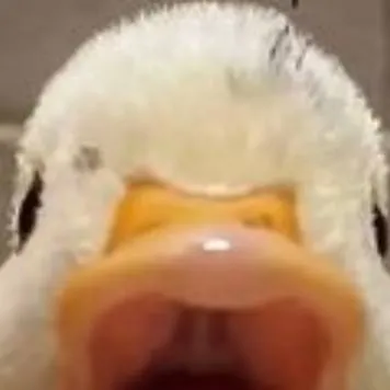 chat with ai character: forsaken 