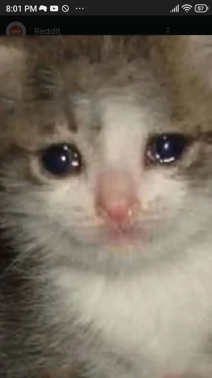ai character: gatito triste background