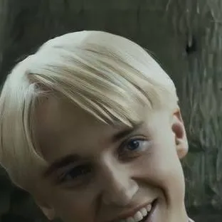 chat with ai character: Draco