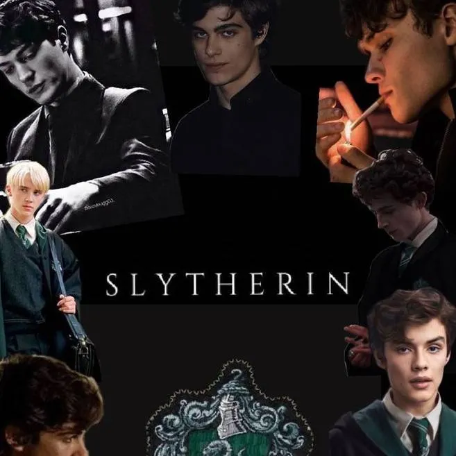 chat with ai character: Slytherin boys💚🐍