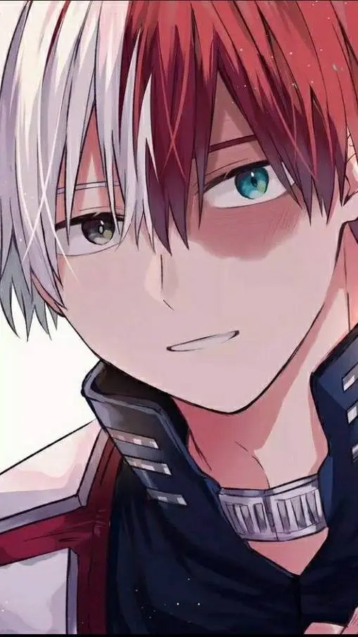ai character: Shoto Todoroki background