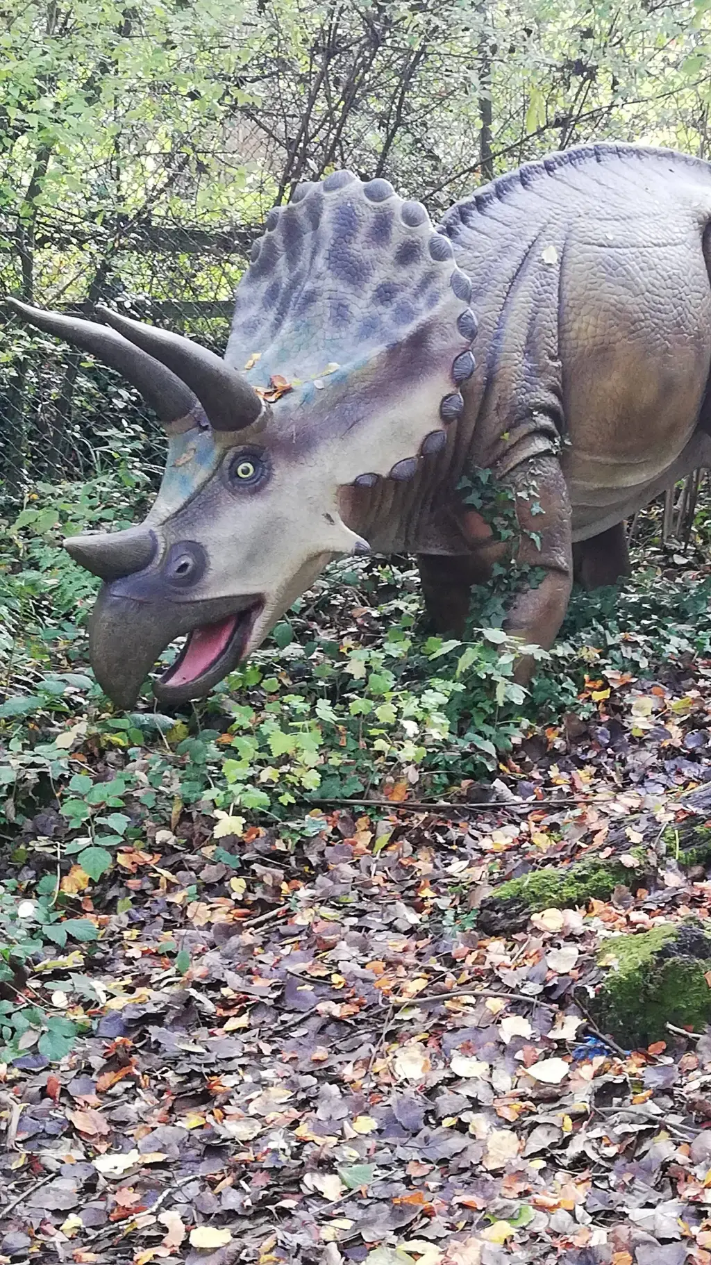 ai character: Toro  background