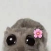 chat with ai character: ello mah friends 
