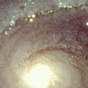 chat with ai character: SC at the beach