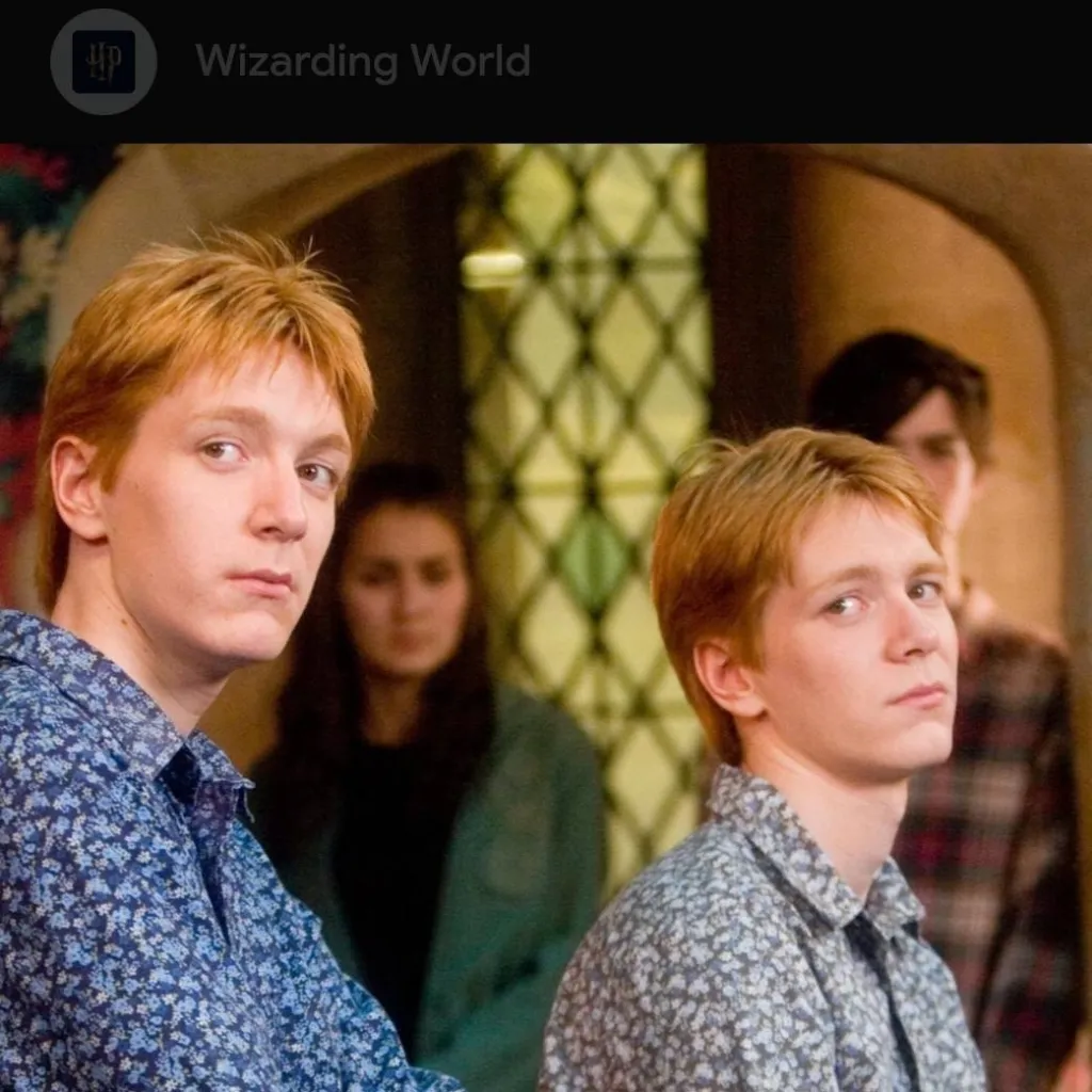 chat with ai character: weasley twins×you
