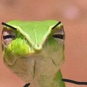 chat with ai character: disappointed nodle