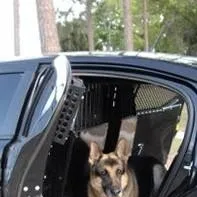 chat with ai character: K9 Logan 