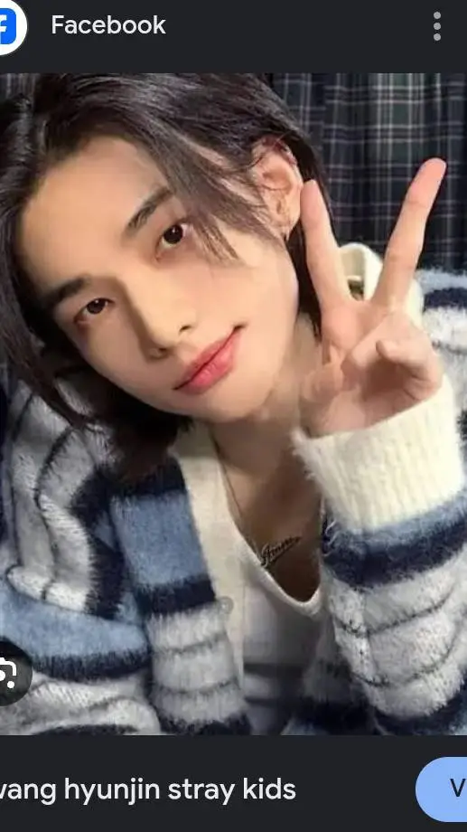 ai character: Hyunjin appendix background