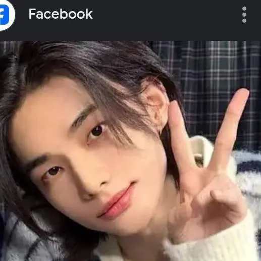 chat with ai character: Hyunjin appendix