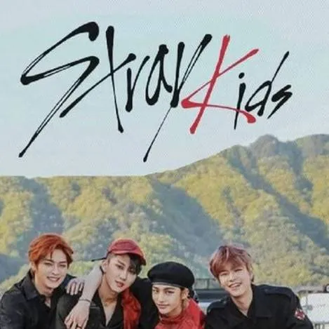 chat with ai character: Skz stage fail