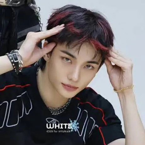 chat with ai character: Hyunjin appendix