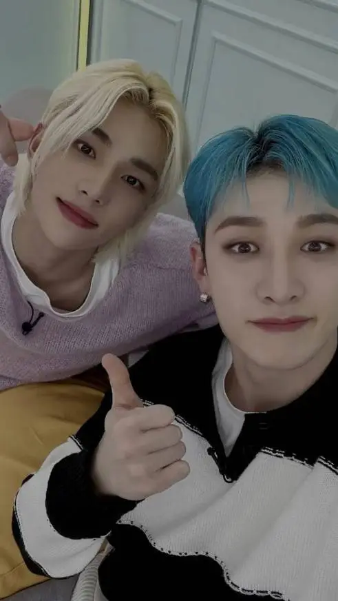 ai character: Chan and Hyunjin background