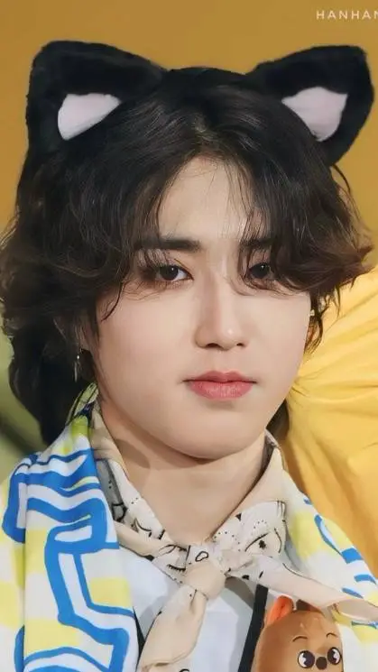 ai character: Han jisung cat😽 background