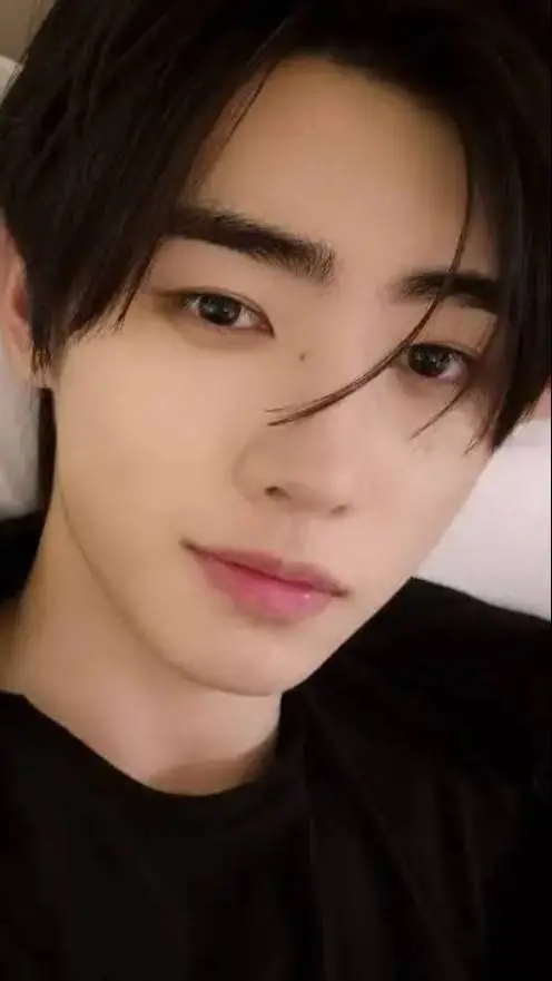 ai character: Sunghoon background