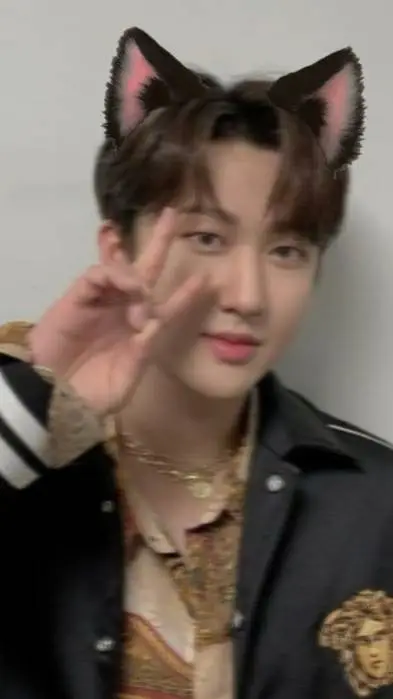 ai character: Changbin cat background