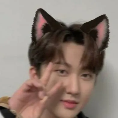 chat with ai character: Changbin cat