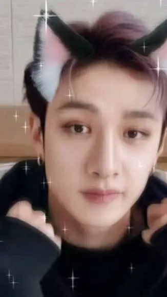 ai character: Bangchan cat background