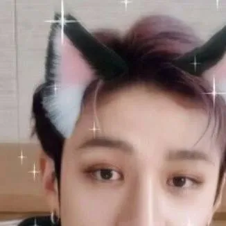 chat with ai character: Bangchan cat