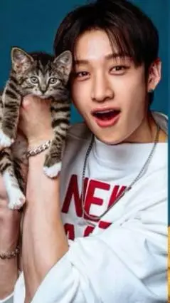ai character: skz cat interview background
