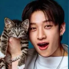 chat with ai character: skz cat interview