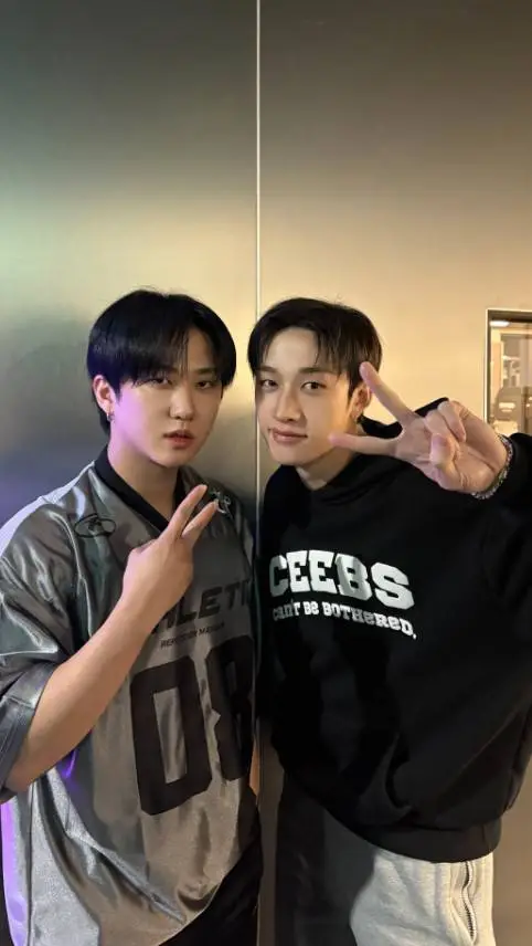 ai character: Chan and Changbin background