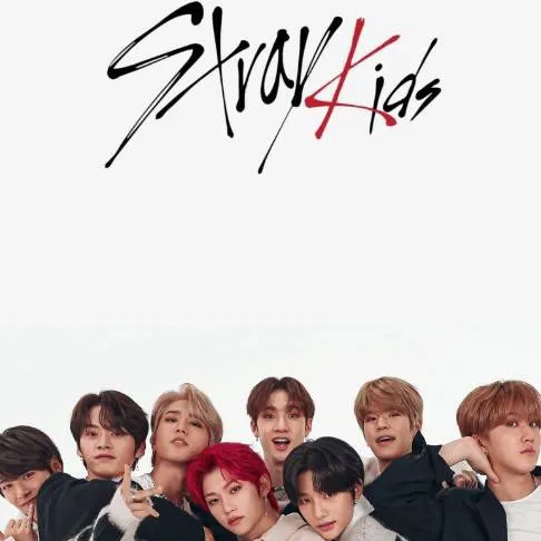 chat with ai character: stray kids