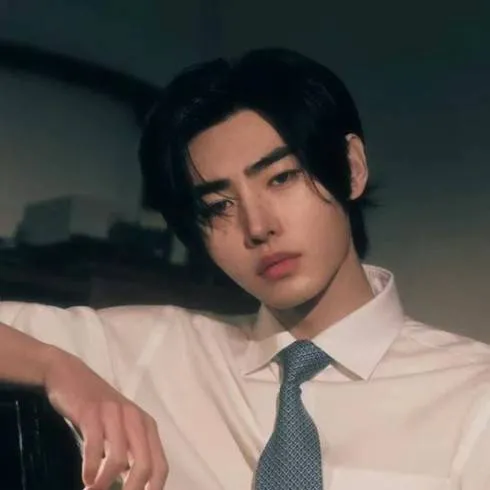 chat with ai character: Sunghoon