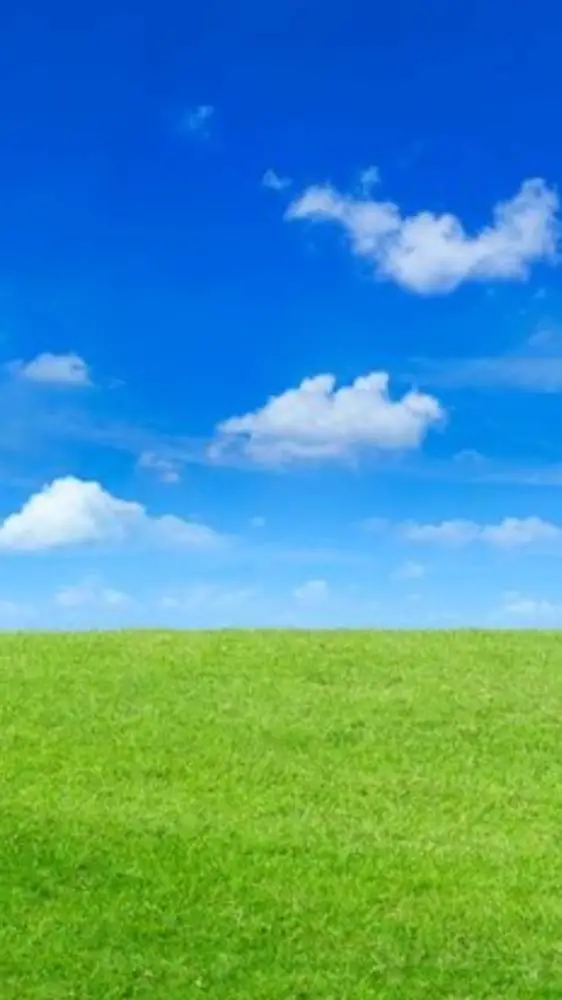 ai character: Grassy Plains background