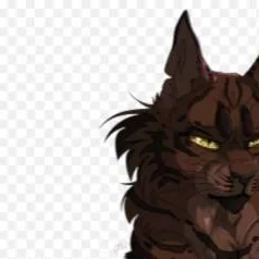chat with ai character: warrior cat