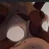 chat with ai character: warrior cats