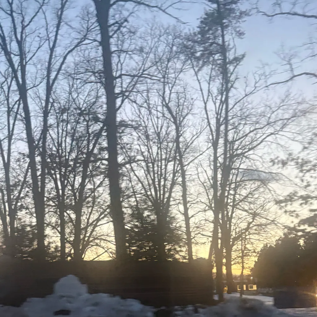 chat with ai character: Harringrove⏱️