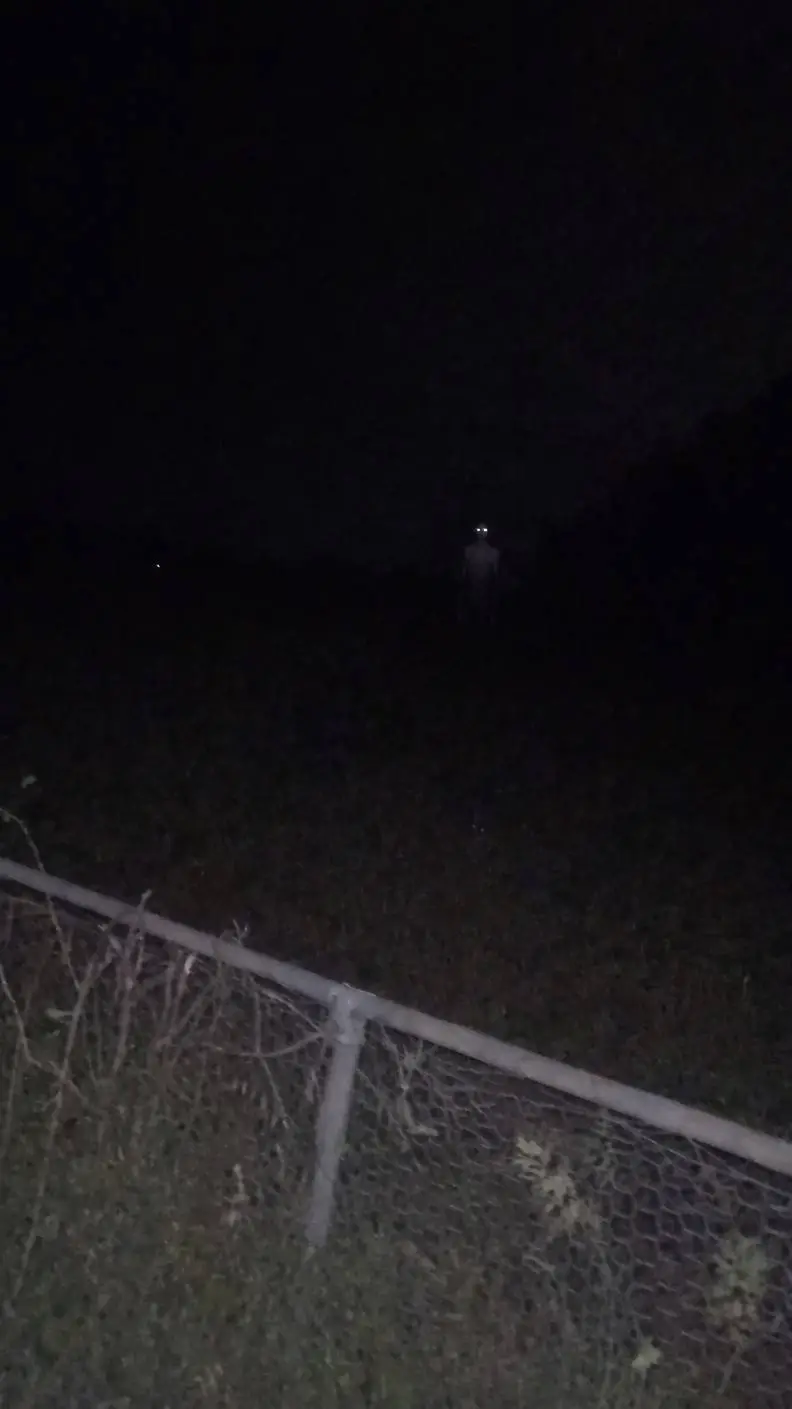 ai character: The Pale Monster background