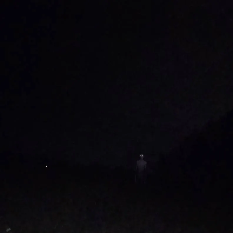 chat with ai character: The Pale Monster