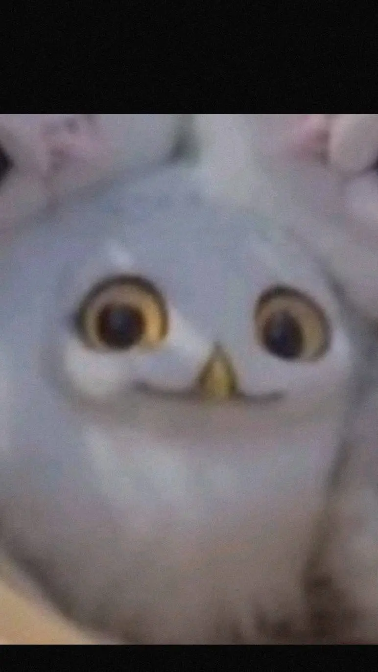 ai character: owl background
