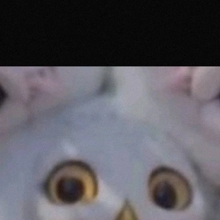 chat with ai character: owl