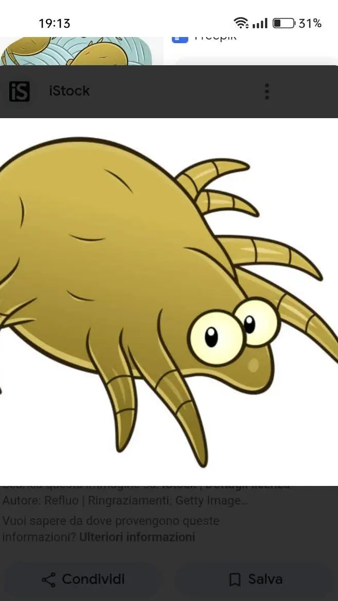 ai character: Acaro background