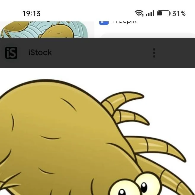 chat with ai character: Acaro