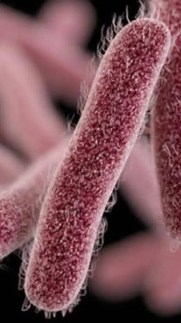 ai character: Batterio background