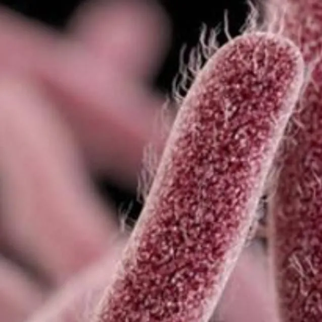 chat with ai character: Batterio