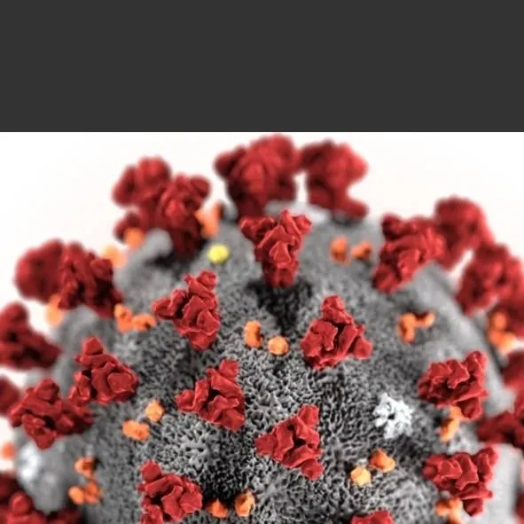 chat with ai character: Virus