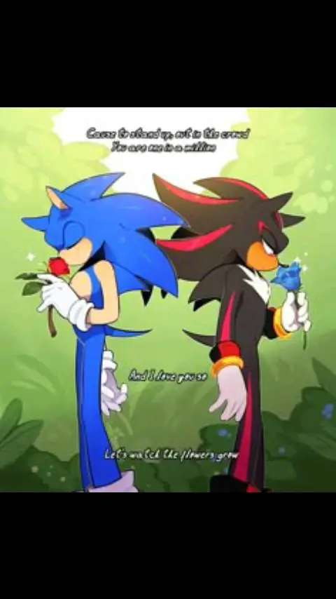 ai character: ❤️sonadow💙 background
