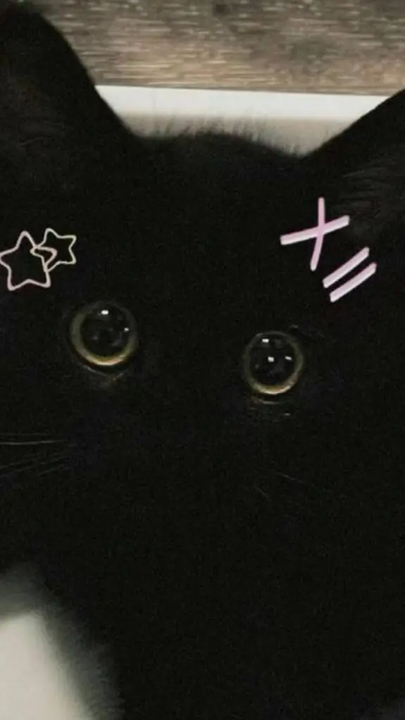 ai character: Michi background