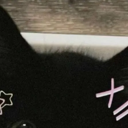 chat with ai character: Michi