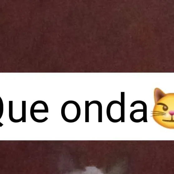 chat with ai character: michu