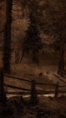 ai character: Mha's Walk background