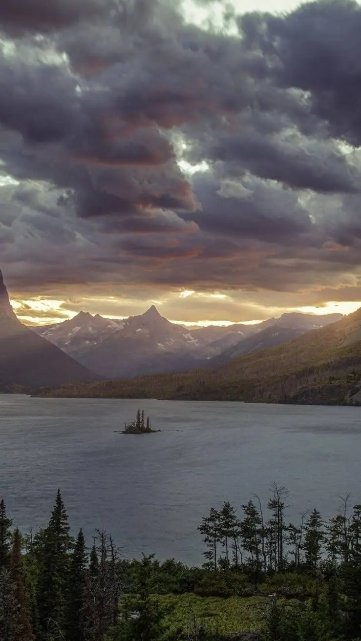 ai character: TEST background