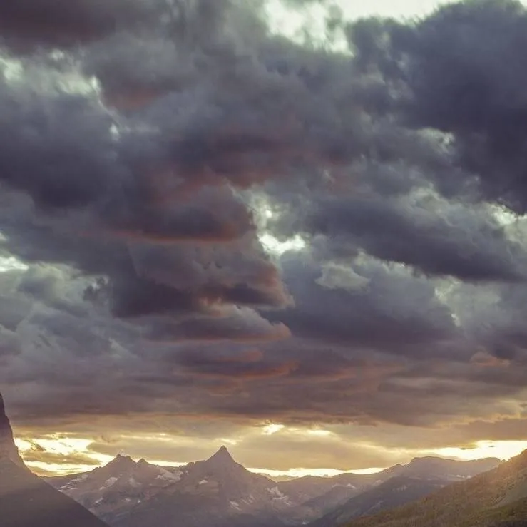 chat with ai character: TEST