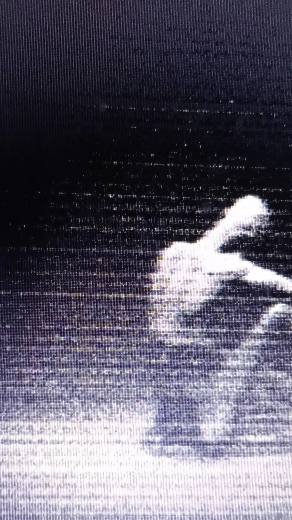 ai character: SCP 096 background